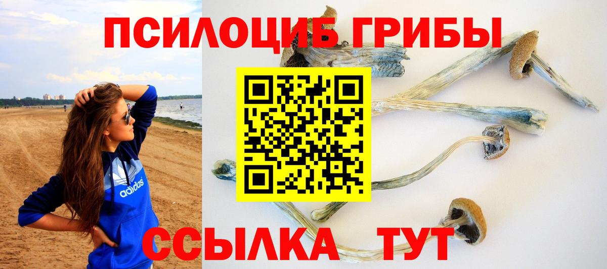 Галлюциногенные грибы MAGIC MUSHROOMS Бугуруслан