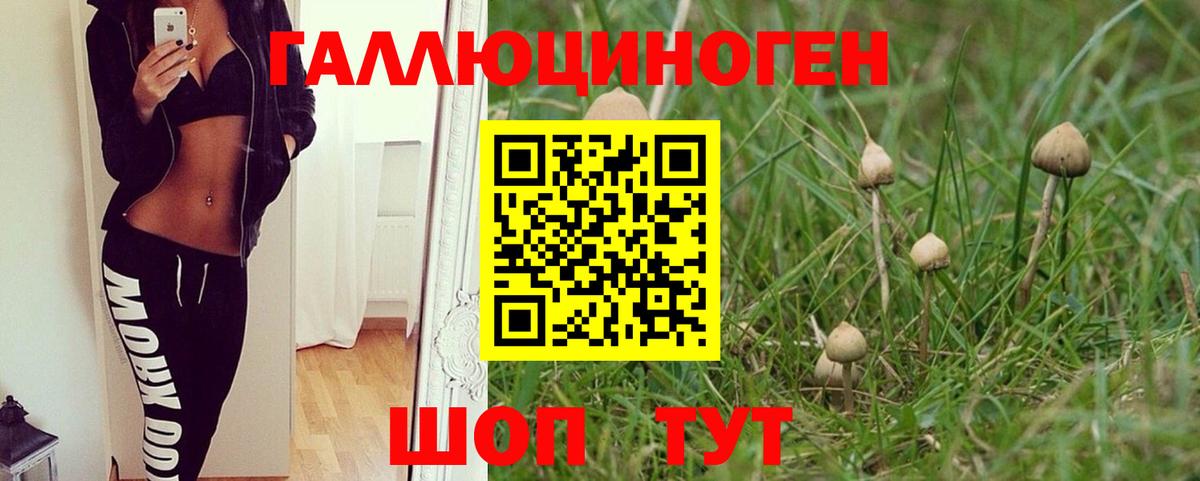 Псилоцибиновые грибы MAGIC MUSHROOMS  Псилоцибиновые грибы MAGIC MUSHROOMS  Бугуруслан  Вход с VPN 